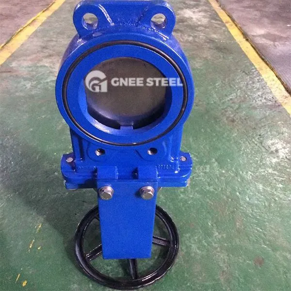 Вентил вентила капију и гвоздене вентила