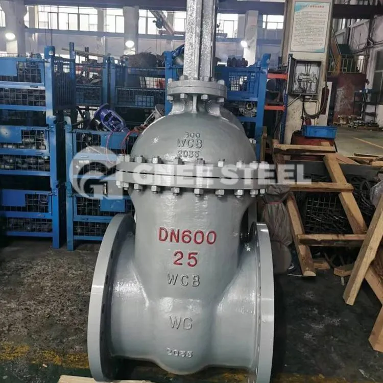 Засун великог пречника