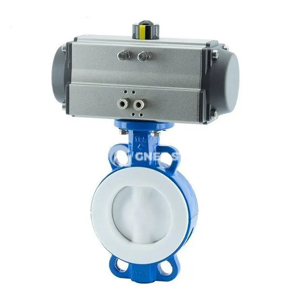 Лептир пнеуматски валер лептир