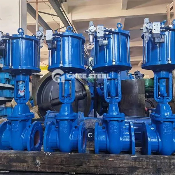 Пнеуматски вентили за клину капију